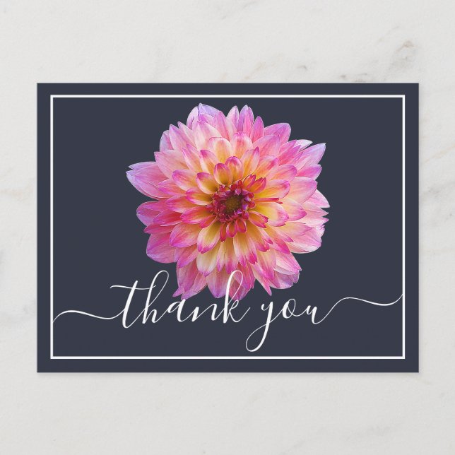 Carte Postale Dahlia rose et jaune Fond Navy Merci (Devant)