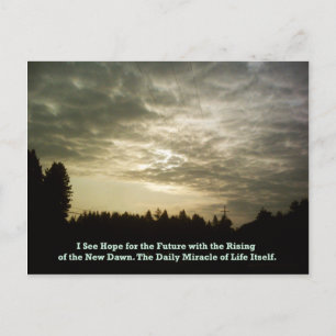 Carte postale Daily Miracle