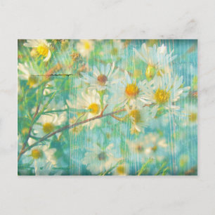 Carte Postale Daisies Grunge