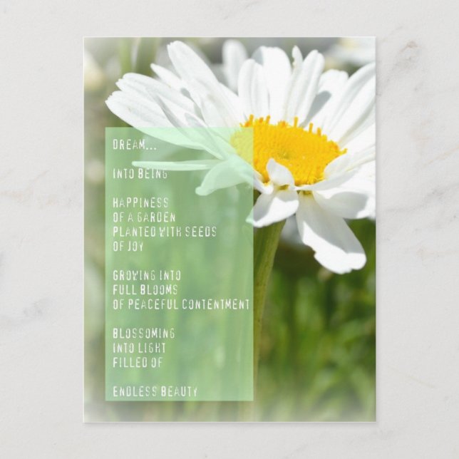 Carte Postale Daisy Dream Poem Inspiration Post Card (Devant)