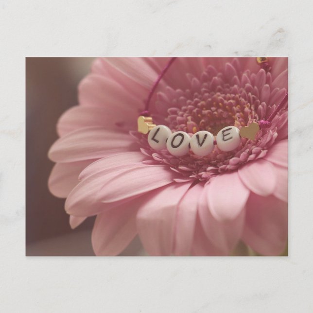 Carte Postale Daisy Love (Devant)