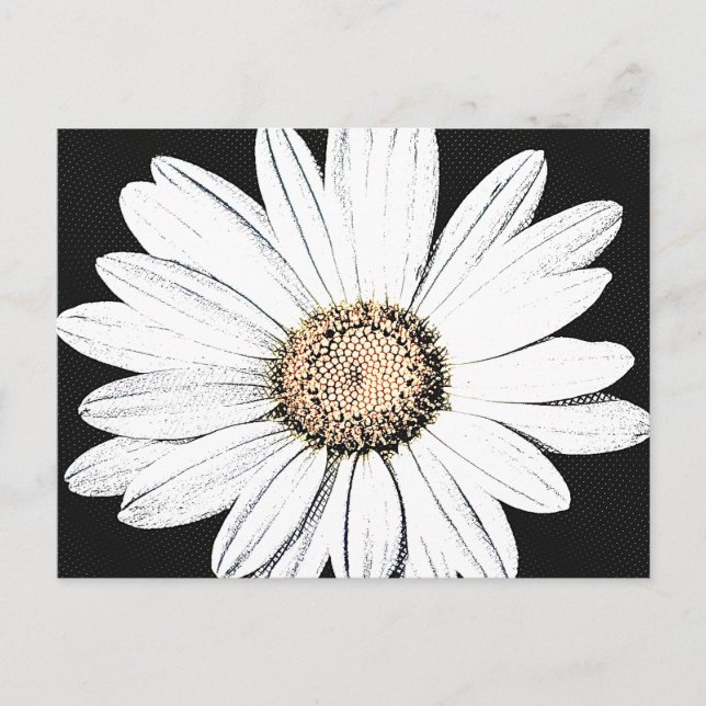 Carte postale Daisy Mae (Devant)