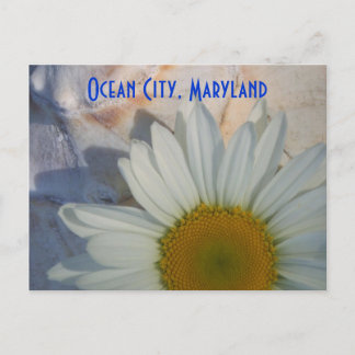 Carte postale Daisy Ocean City