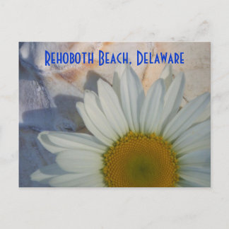 Carte postale Daisy Rehoboth Beach