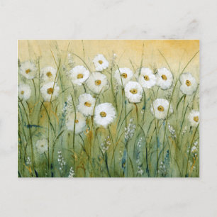 Carte Postale Daisy Spring I