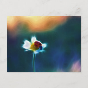 Carte Postale Daisybug