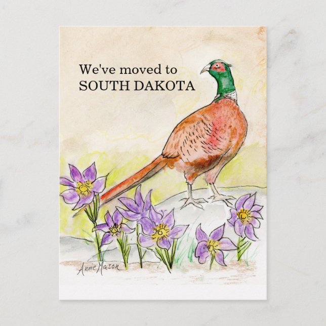 Carte Postale Dakota du Sud (Devant)