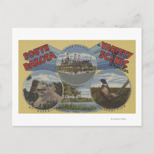 Carte Postale Dakota du Sud - Variété Pittoresque Wonder