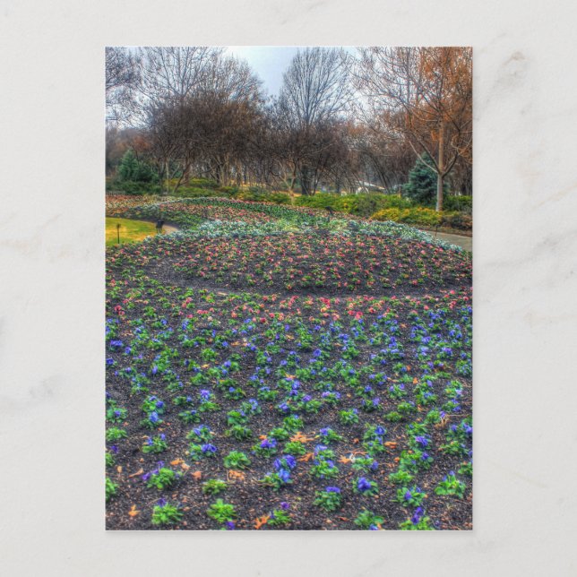 Carte Postale Dallas Arboretum et jardin botanique (Devant)