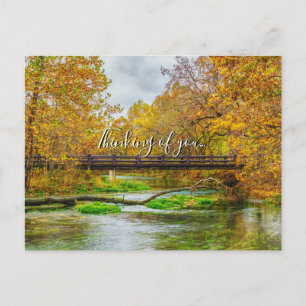 Carte postale d'Alley Spring River Thinking Of You
