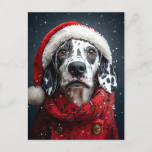 Carte Postale Dalmatie festive à Père Noël Attire