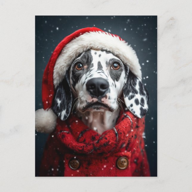 Carte Postale Dalmatie festive à Père Noël Attire (Devant)