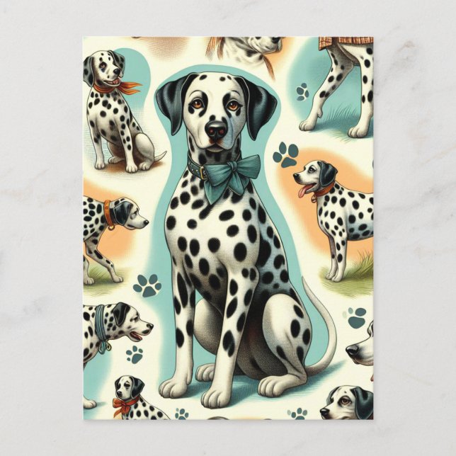 Carte Postale Dalmatie mignonne (Devant)