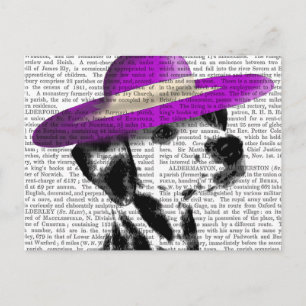 Carte Postale Dalmatien Avec Casquette Violet Large Brimé