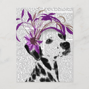 Carte Postale Dalmatien Avec Fascinateur Violet