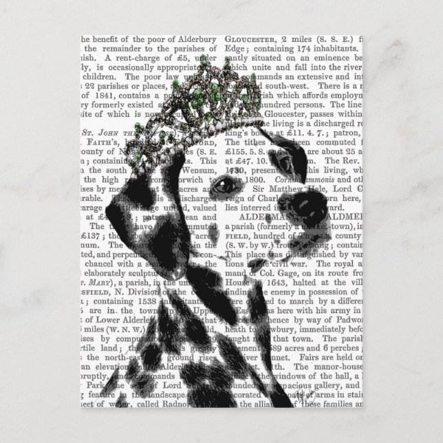Carte Postale Dalmatien avec Tiara 2 (Devant)