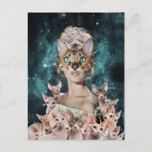 Carte Postale Dame du chat