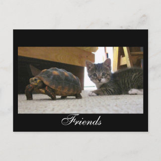 Carte postale d'amis