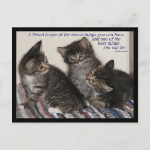 Carte postale d'amitié