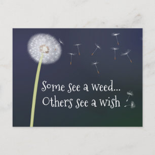 Carte postale Dandelion Design