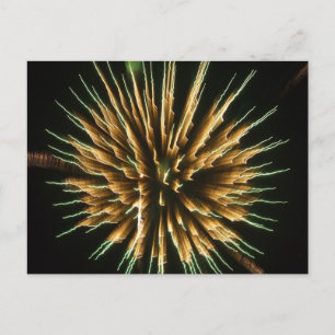 Carte Postale Dandelion en feu