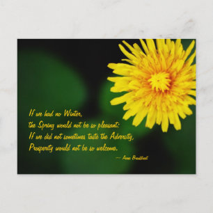 Carte Postale Dandelion Flower Anne Bradstreet