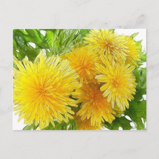 Carte Postale Dandelions ! (Devant)