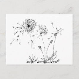 Carte Postale Dandelions