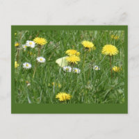 Dandelions & Daisy Grass Field do-it-yourself Cart