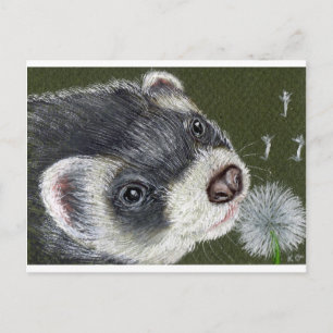 Carte Postale Dandy Ferret