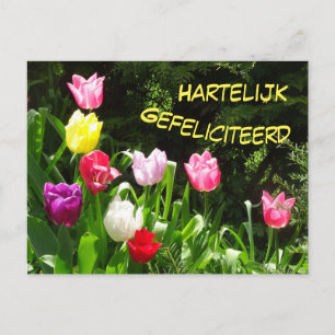 Carte postale d'anniversaire aux Tulipes colorées