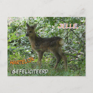 Carte postale d'anniversaire avec un chevreuil mig