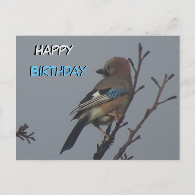 Carte postale d'anniversaire avec un geai mignon d (Devant)
