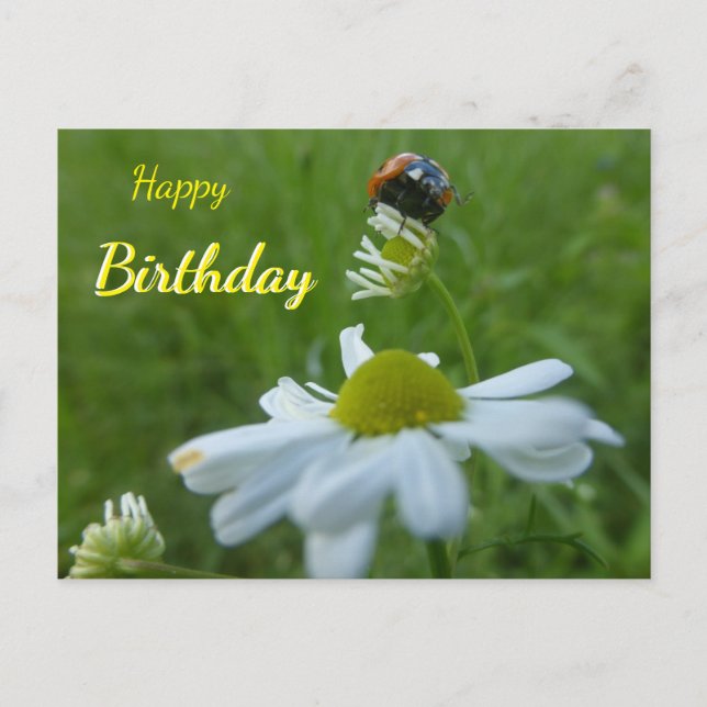 Carte postale d'anniversaire coccinelle sur fleur  (Devant)