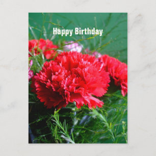 Carte postale d'anniversaire des oeillets rouges