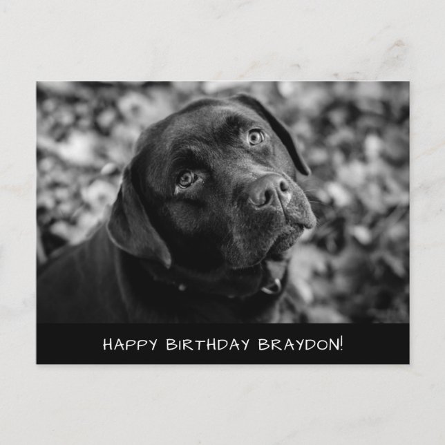 Carte postale d'anniversaire du Black Lab (Devant)