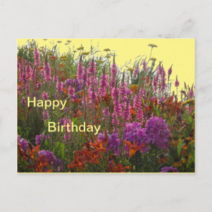 Carte postale d'anniversaire Fleurs sauvages color