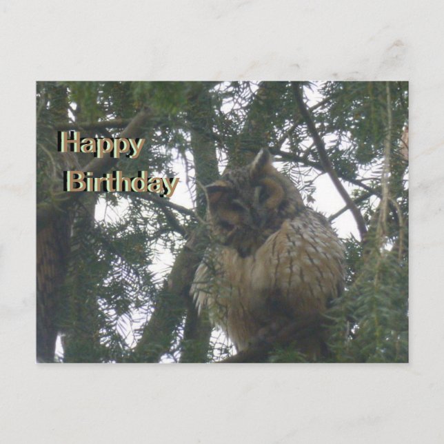 Carte postale d'Anniversaire Jolie Chouette Longue (Devant)
