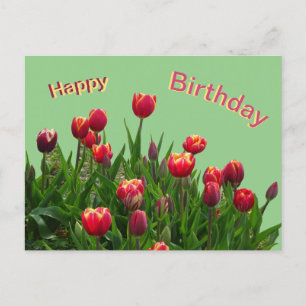 Carte postale d'anniversaire personnalisée avec tu
