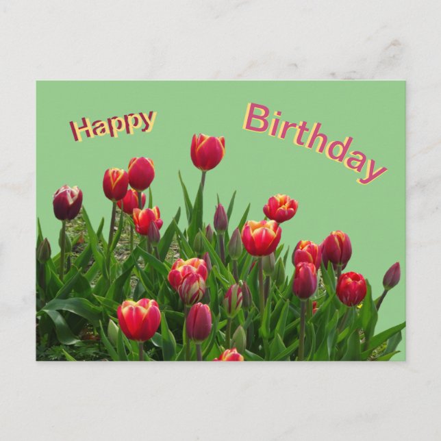 Carte postale d'anniversaire personnalisée avec tu (Devant)