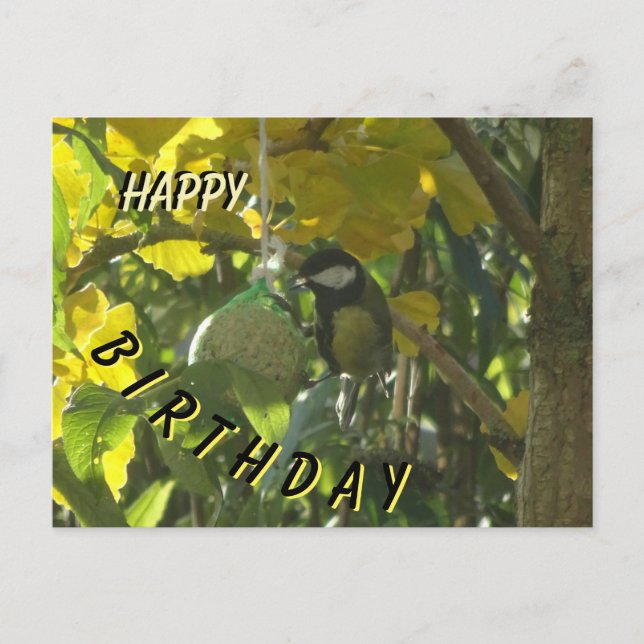 Carte postale d'Anniversaire pour un oiseau mignon (Devant)