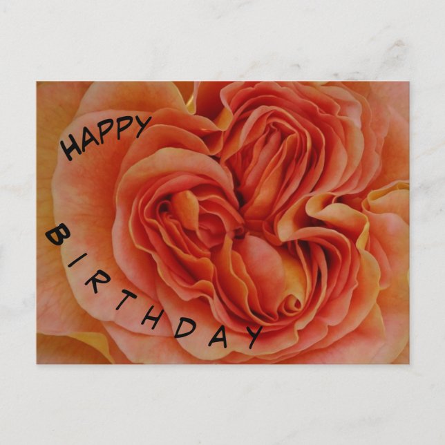Carte postale d'anniversaire Rose pastel magnifiqu (Devant)
