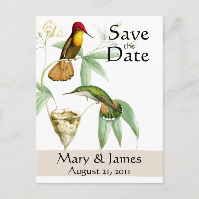 Carte postale d'annonce de mariage de colibris (Devant)