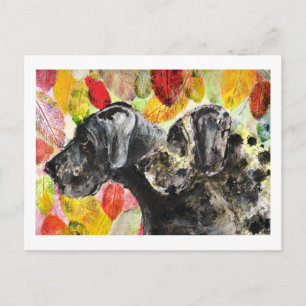 Carte Postale Danois artwork Grands Danois