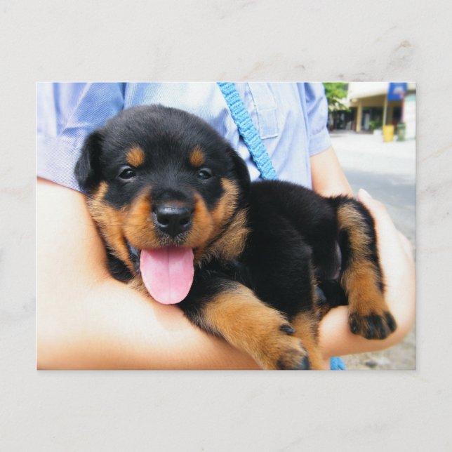 Carte Postale Dans de bonnes mains (Devant)