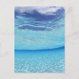 Carte Postale Dans la mer