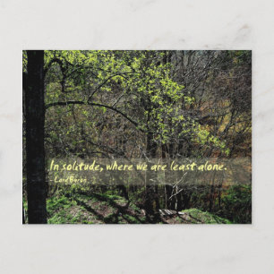 Carte Postale Dans la solitude...