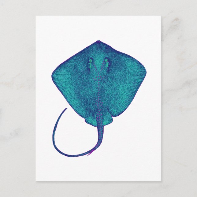 CARTE POSTALE DANS LE BLEU (Devant)