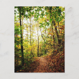 Carte Postale Dans le bois