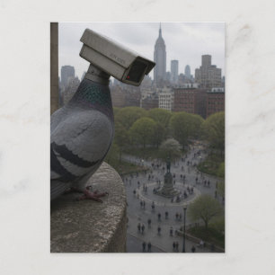 Carte Postale dans le parc Un pigeon caméra de surveillance surr
